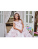 Short Sleeves Tulle Rosette Fiarytale Flower Girl Dress